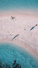 Aerial view of people at beach