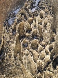 Close-up of sand