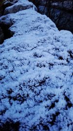 Close-up of frozen ice