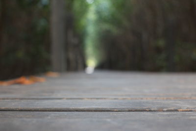 Surface level of road amidst trees in city