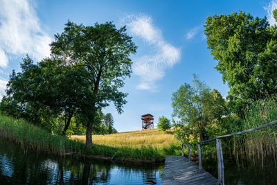 Trees by lake against sky