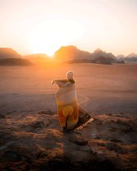 Rear view of woman sitting on beach against sky during sunset