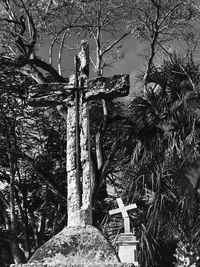 Low angle view of cross on tree trunk