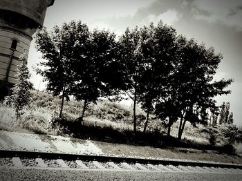 Trees by railroad tracks against sky