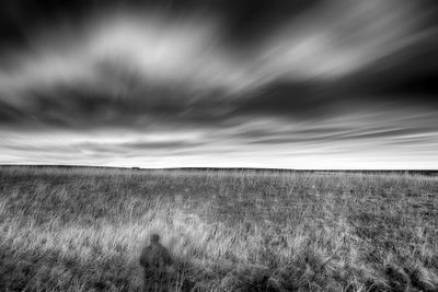 Scenic view of wheat field against storm clouds