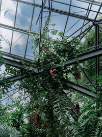 Low angle view of trees against sky seen through glass window