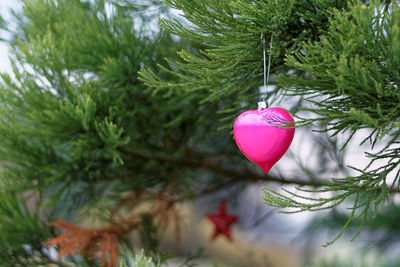 Close-up of christmas tree