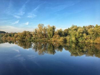 Reflection of trees in lake against blue sky