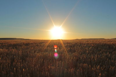 Scenic view of field against sky at sunset