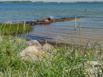 Scenic view of sea