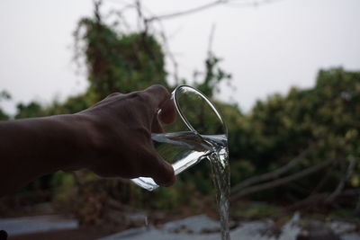 Close-up of hand holding drink against trees