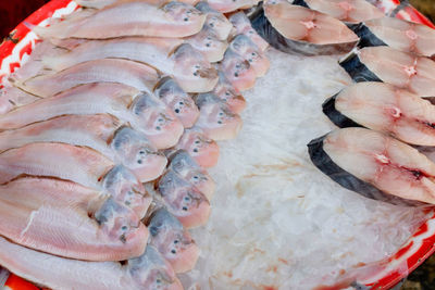 High angle view of fish for sale in market