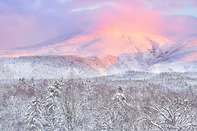 Scenic view of snowcapped mountain against sky