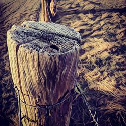 Close-up of rope tied on wooden post