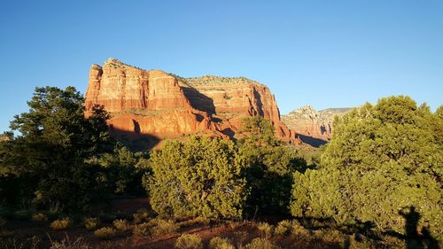 Trees on field against rock formations