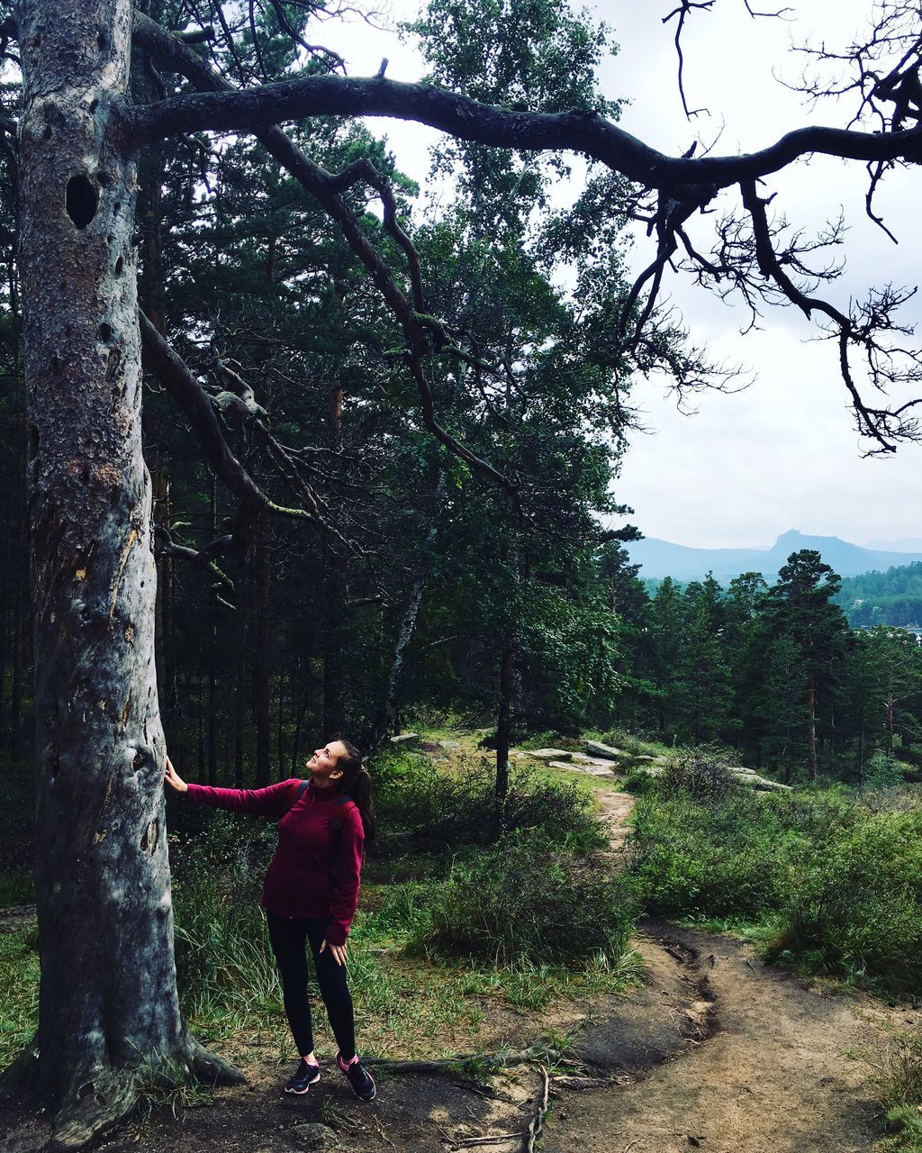 tree, rear view, leisure activity, full length, branch, lifestyles, walking, footpath, person, tranquil scene, tranquility, tourism, day, growth, scenics, park - man made space, nature, non-urban scene, weekend activities, outdoors, vacations, sky, beauty in nature, green color, remote