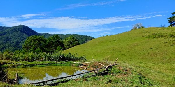 Scenic view of landscape against sky