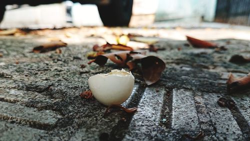 Close-up of broken fruits on table