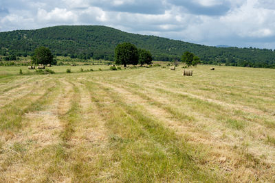 Scenic view of farmland with hay.