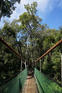 Footbridge amidst trees in forest against sky