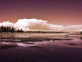 Scenic view of sea at sunset