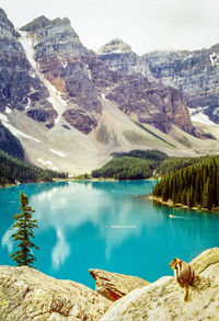 Scenic view of lake and mountains