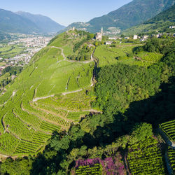 Scenic view of agricultural field