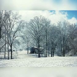 Scenic view of snow covered landscape