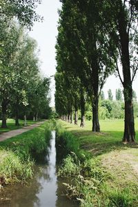 Scenic view of park against sky