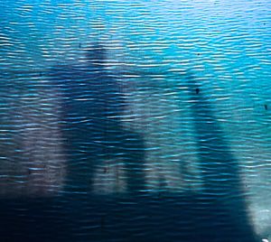 Full frame shot of water surface