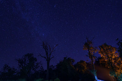 Low angle view of silhouette trees against sky at night