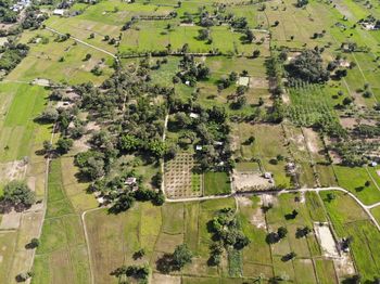 High angle view of trees on field