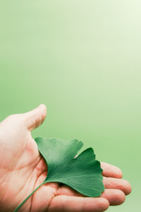 Cropped hand holding leaf against green background