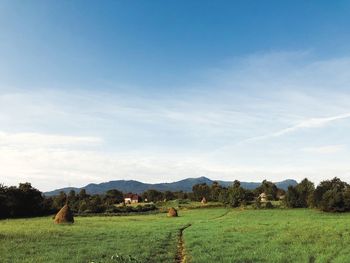 Scenic view of grassy field against sky