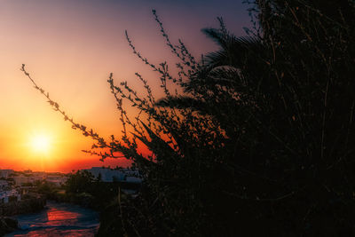 Silhouette plants against romantic sky at sunset