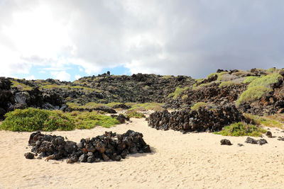 Rocky beach with orzola village and harbor on the background in lanzarote, canary islands, spain