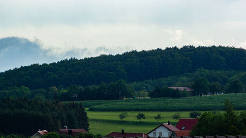 Trees and houses on field against sky