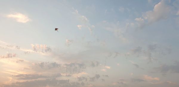 Low angle view of birds flying in sky