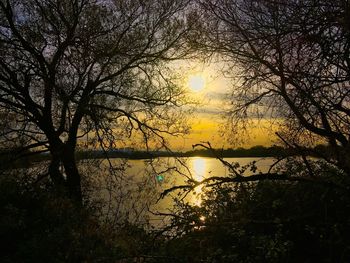 Silhouette trees by lake against sky during sunset