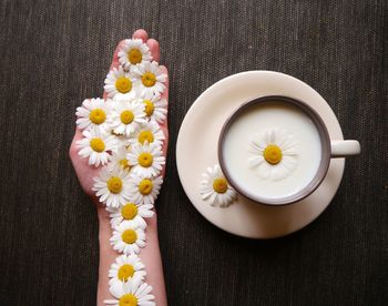High angle view of potted plant on table