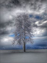 Bare trees on landscape against cloudy sky