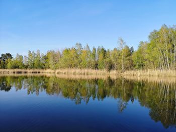 Scenic view of lake against clear blue sky