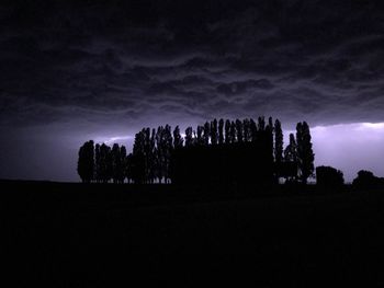 Low angle view of silhouette trees against sky at dusk