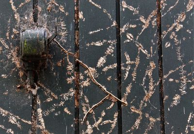 Full frame shot of rusty metal wall