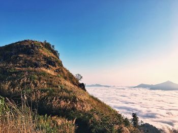 Scenic view of sea against clear blue sky