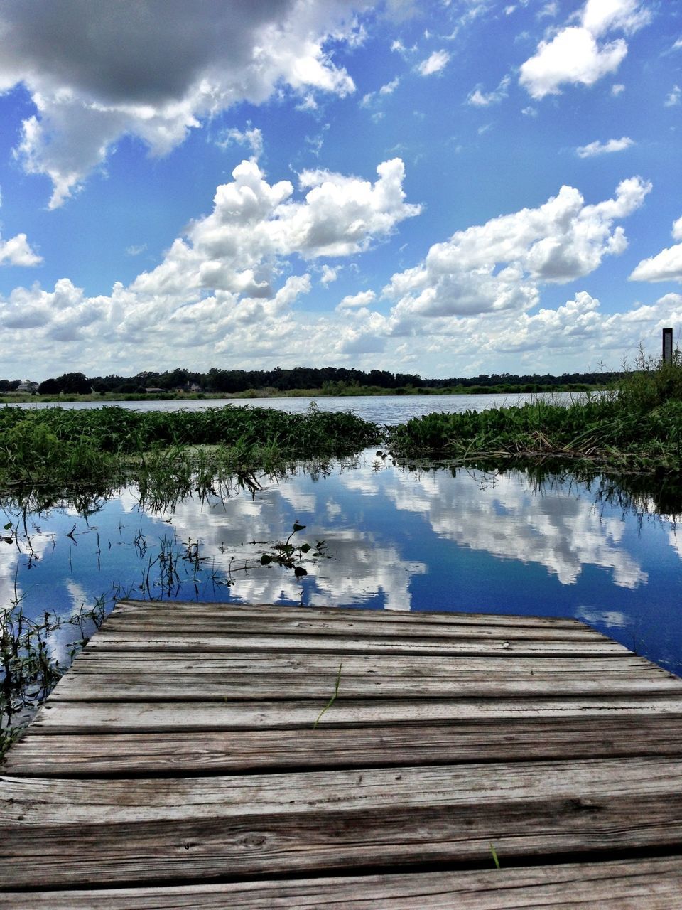 water, sky, lake, tranquil scene, reflection, tranquility, cloud - sky, blue, beauty in nature, scenics, cloud, nature, pier, wood - material, tree, boardwalk, idyllic, cloudy, day, jetty