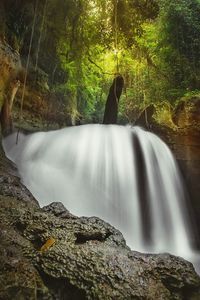Scenic view of waterfall in forest