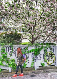 Low angle view of woman standing by pink flower tree