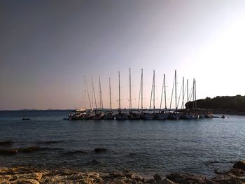 Sailboats in sea against clear sky