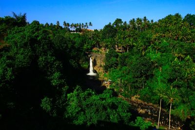 Scenic view of waterfall in forest against sky